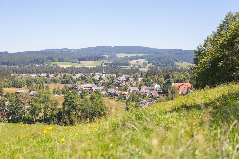 schwarzwald-hinterzarten-gruen4
