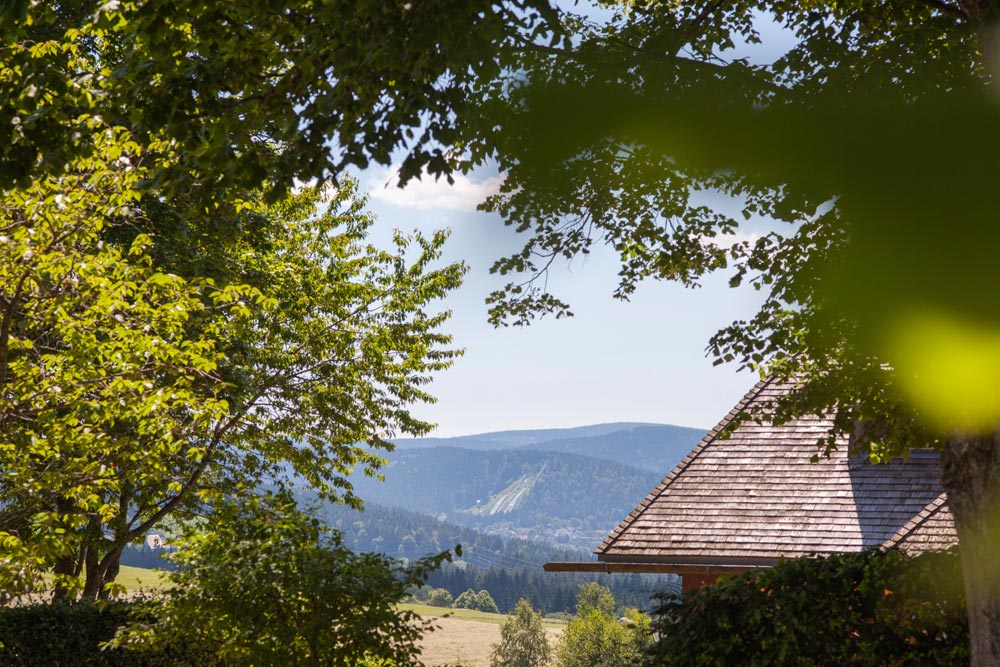 schwarzwald-hinterzarten-gruen6