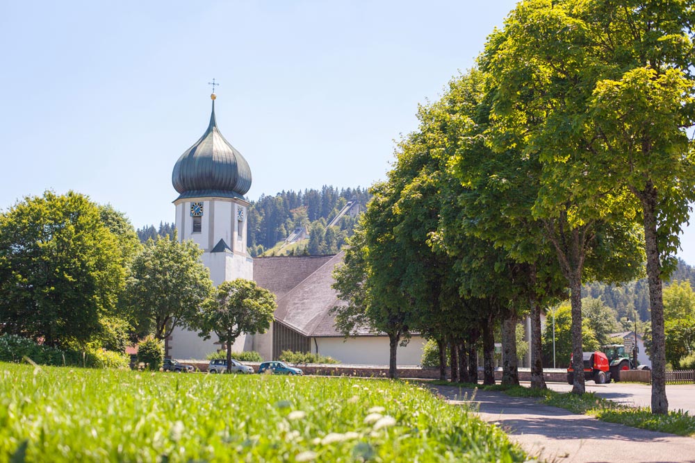 schwarzwald-hinterzarten-gruen7