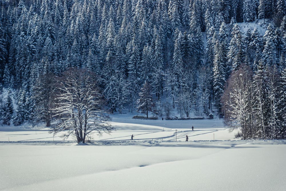 schwarzwald-hinterzarten-weiss2